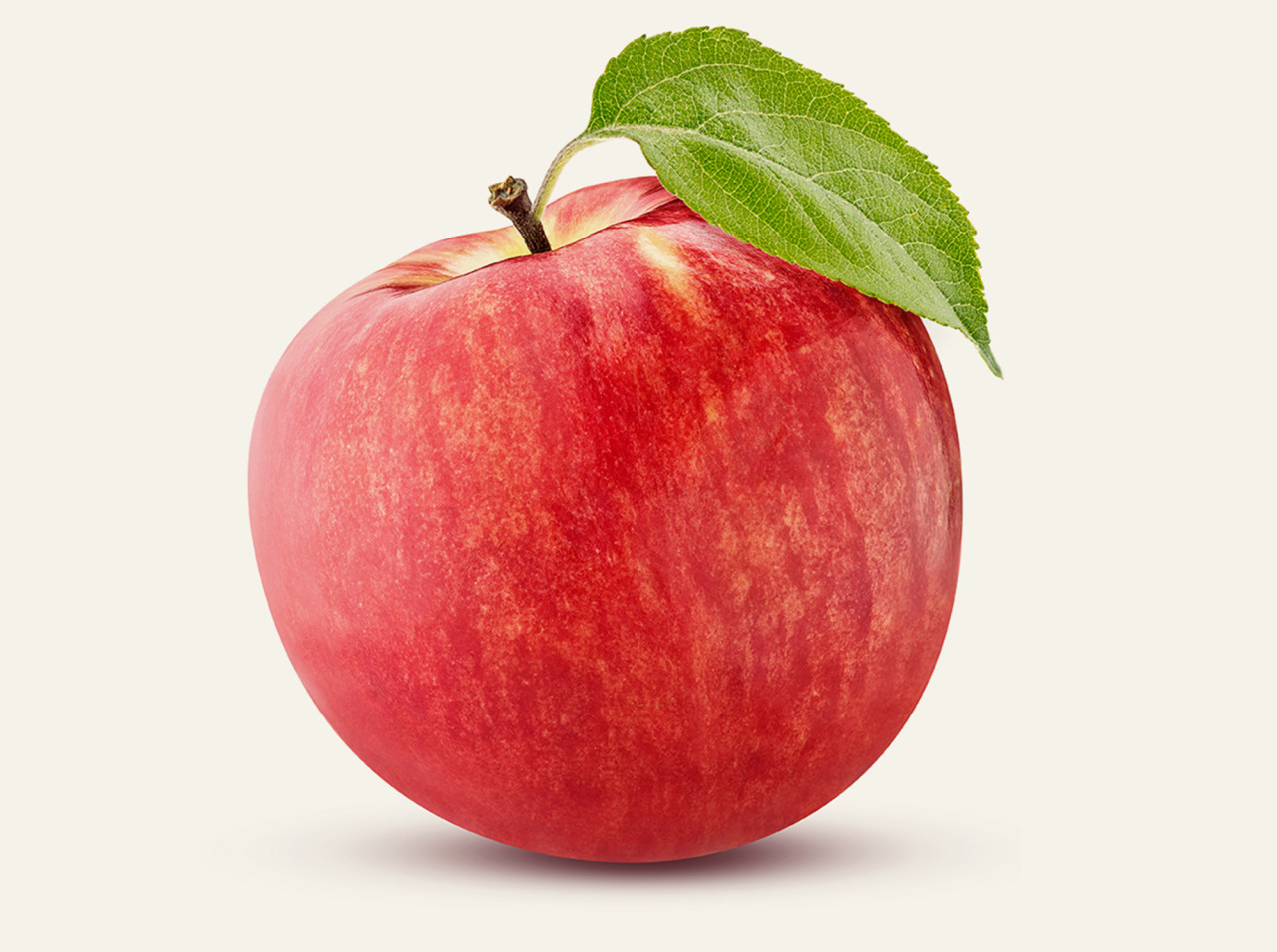 Appel 01