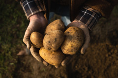 Shutterstock 2109684866