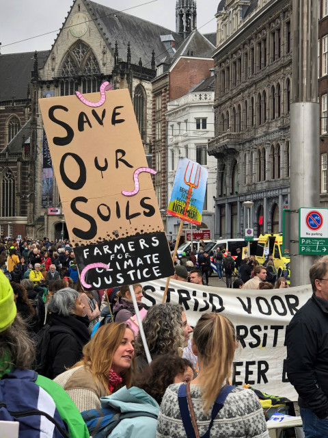 Soil